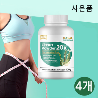 로얄 캐네디언 20배 농축 시서스 차 분말 가루 파우더 100g 2개이상 구매시 자미에슨 프로바이오틱 사은품, 4개