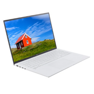 LG전자 그램16 16ZD90P-GX7TK