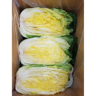 15년차 수제 해남절임배추 20kg 속이 노란 잘절여진 배추, "도착일선택:수령일을  필수추가정보에 입력하세요!", 1개