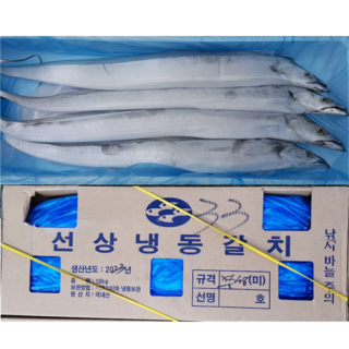 [갈치왕] 제주 선동갈치 1상자 (10Kg) 45마리(45미) 산지직송 제주갈치, 1박스, 선동갈치 33마리