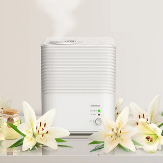 가열식가습기 살균 온열 스팀가습기 끓이는 따뜻한 열가습기 2.5L EcafHtronEht, 화이트