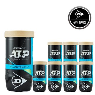 던롭 챔피언십 ATP 테니스공 1캔 x 2p, 던롭 ATP, 8개