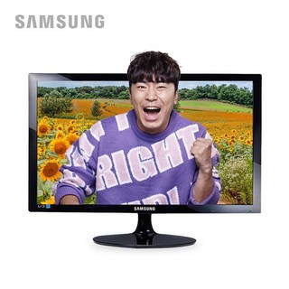 삼성전자 S24D300