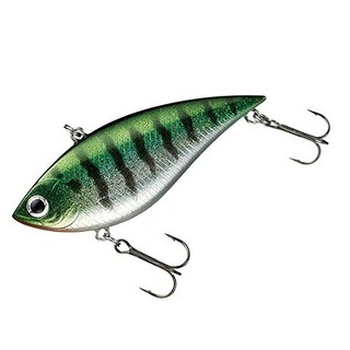 다이와 (DAIWA) 버스 루어 TD 진동 82S 블루 백클로 82S 루어