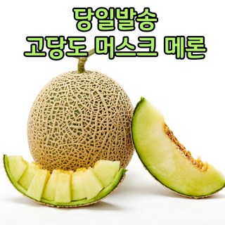 [특품]고당도 멜론 산지직송 부여 머스크메론, 1박스, 1.5kg(2수)