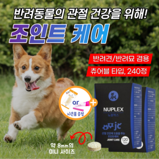 반려견 영양제 관절 뼈 건강 고양이 강아지 슬개골 보호 조인트 케어 쓸개골 탈구 예방 초록홍합 MSM 상어연골 오메가3 애견 애완견 소형견 대형견 노령견 노견 관절염 보호제 츄어블, 2개
