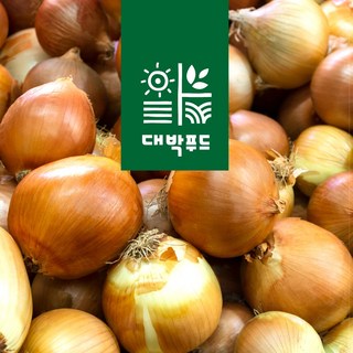 국내산 잘말려 단단한 무안 햇 양파 3kg 5Kg 10Kg 짱아찌 소 / 중 / 대 / 특, 1개, 5kg 중