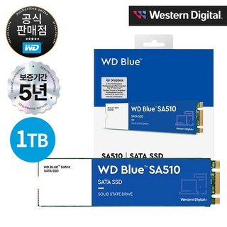 WD BLUE SA510 M.2 SATA SSD