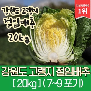 강원도 고랭지 절임배추 20kg, 목요일 출고 금요일 도착, 1개