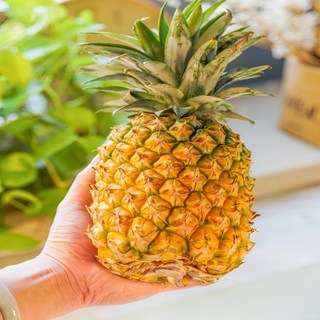 [SNS화제] 달콤함으로 사로잡은 대만 파인애플, 1개, 대만파인애플5개 (개당 1-2kg)