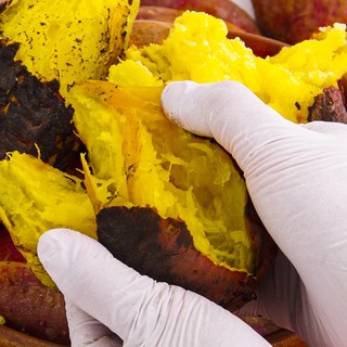 해남 꿀고구마, 꿀고구마 10kg 한입(20~50g), 1개