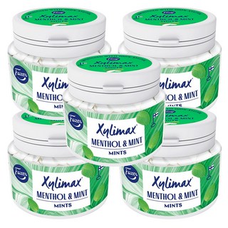 질리맥스 멘톨민트 90g 5개 상품 이미지
