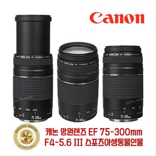 SLR 망원렌즈 Canon EF 75-300mm