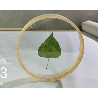 캔버스 액자틀 유화 원형 원형 프레임 라운드 우드, 1개, 원목색 단일 프레임유기유리 1개