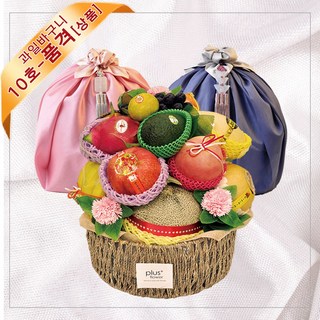 과일 박스 당일배송 부산 서울 과일선물세트 병문안 예단 이바지 백화점 출산 과일바구니, 1개, 혼합과일바구니 10-2호-품격(상품)