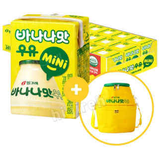 코스트코쿨러백으로 문제 해결하기