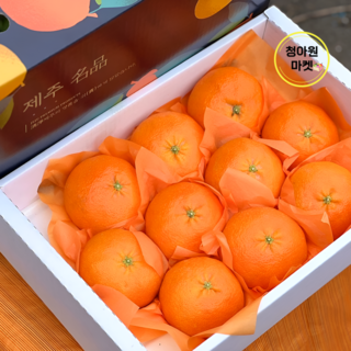 청아원 고당도 15brix 이상 제주 레드향 3kg 중과 가정용, 1개, 10kg 중과 (50과 내외)