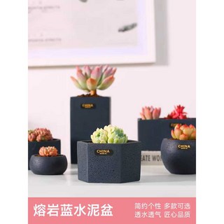 다육식물 화분 심플 유럽 스타일 개성 창의적 다육식물 시멘트 화분 화분, 1개, 라바 블루 대형 육각형 시멘트