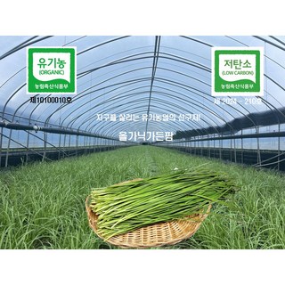 (산지직송)모메조아 명품유기농부추 싱싱한 유기농인증제10100010호 1kg 2kg 3kg 4kg, 1개