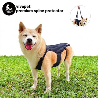 강아지 척추 허리 보호대 보조기 보조기구 하네스 프리미엄, M(프리미엄척추보호대+스트랩), 1개