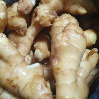 2025년 햇생강 업소용 수입생강 세척생강 최상품 대용량 특대생강, 1개, 10kg