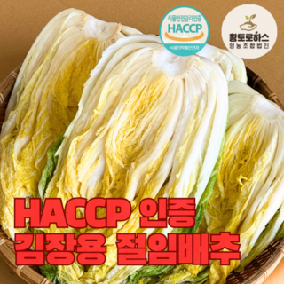 [황토로하스] 'HACCP' 인증 해남절임배추 20KG, 12월 07일(토), 1박스