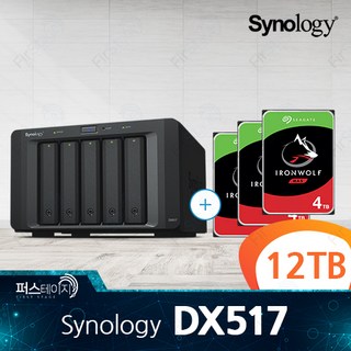 시놀로지 DX517 / 12TB (4TB x 3) 씨게이트 Ironwolf 3년 보증