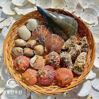 영롱한수산 제철 모듬 조개 커플세트 (6가지 종류) 3kg, 1개 대표 이미지 - 캠핑 음식 추천