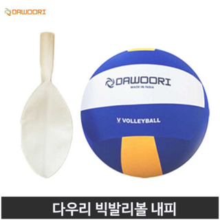 다우리 빅발리볼로 문제 해결하기
