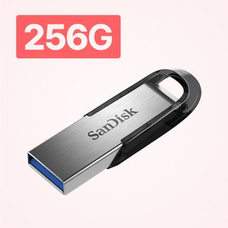 샌디스크 에스티원테크 공식인증 제품 Ultra Flair 울트라 플레어 USB 3.0 CZ73, 256GB, 1개
