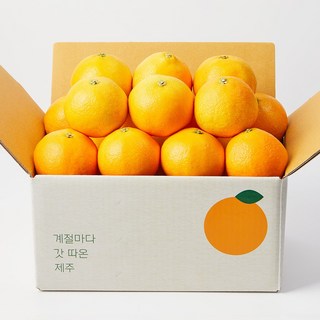 깨비농원 제주 황금향, 1개, 2.5kg 소과(19-26과)