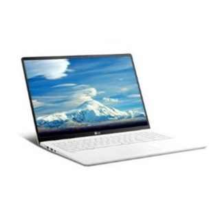 LG 그램17 17ZD90P-GX7TK