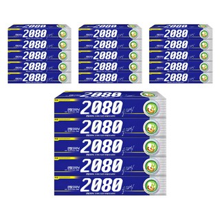 2080 클래식 치약, 170g, 20개