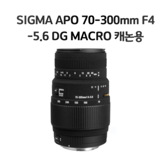 SIGMA APO 70-300mm F4 -5.6 DG MACRO 캐논용 정품