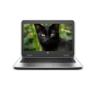 HP 645-G3 노트북 사용 모습