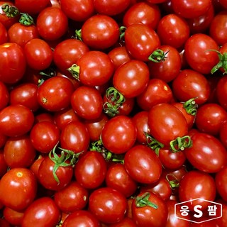 웅스팜 대추방울토마토, 1박스, 5kg 소과 (3-4번)