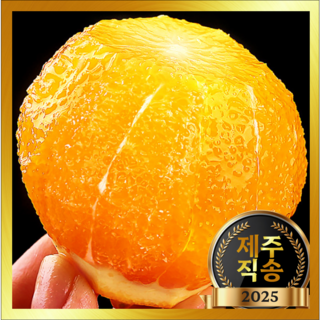 [물가안정] 겨울귤보다 달콤한 초고당도Brix 하우스감귤, 1개, 10kg