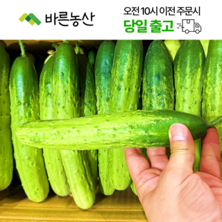 < 바른농산 > 국내산 오이 다다기오이 백오이 (상품) 1박스(35~45개), 35~45개, 1개