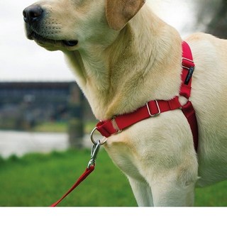 펫 세이프 이지 워크 산책 강아지 가슴 줄 소형 블링 하네스 앞섬 방지 리드줄, 01.빨간색, 1개
