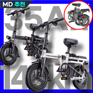 3. 피죤 전기자전거..