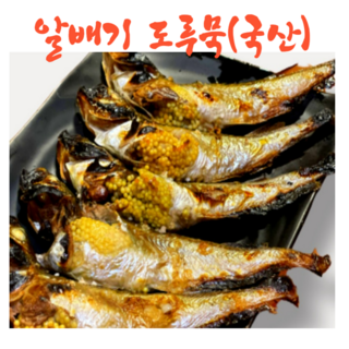 동해 새벽바다 알배기 도루묵