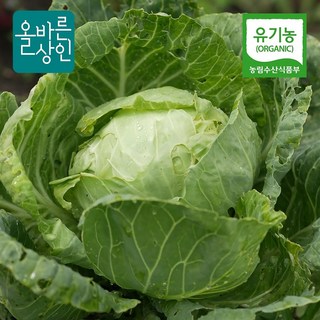 유기농 양배추 농장직송, 5kg, 1박스