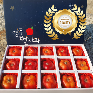 18brix 신품종 영주 미니 별사과