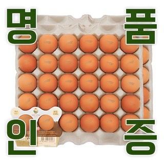KB farm 계란 명품인증 무항생제 달걀 왕란