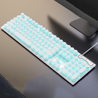 EWEADN GX30 게이밍키보드 레인보우 LED 기계식 유선 키보드 104키, 갈축, 흰색 파란 빛