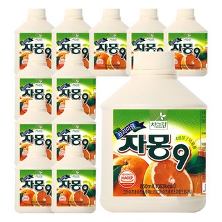 차그림 자몽 원액 850ml, 12개