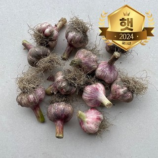 국내산 대서마늘 햇마늘 마늘, 5kg(대), 1개