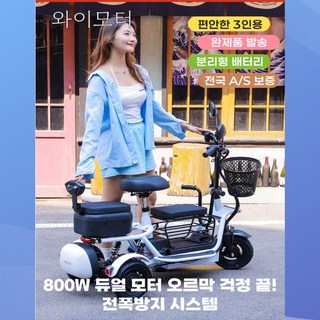 와이모터 강력한 세발전기자전거 등하원 2인용 3인용 펫바이크 애완 반려견전기자전거, 오렌지, 경량스틸