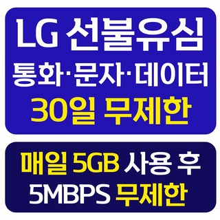 LG 선불유심 개통 데이터 무제한 선불요금제 선불폰 유심칩, 1개, 무제한 일5GB, 30일