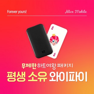 KT 포켓 와이파이